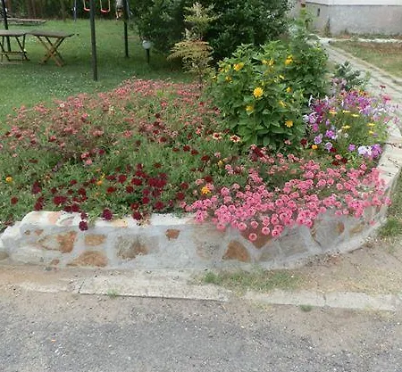 Surf Hotel Primorsko