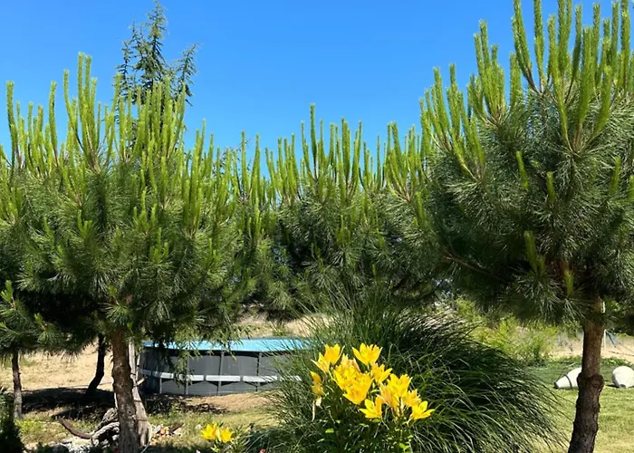 Surf ホテル プリモルスコ