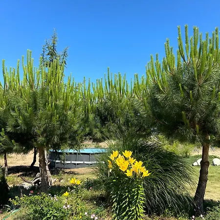 Surf Hotel Primorsko